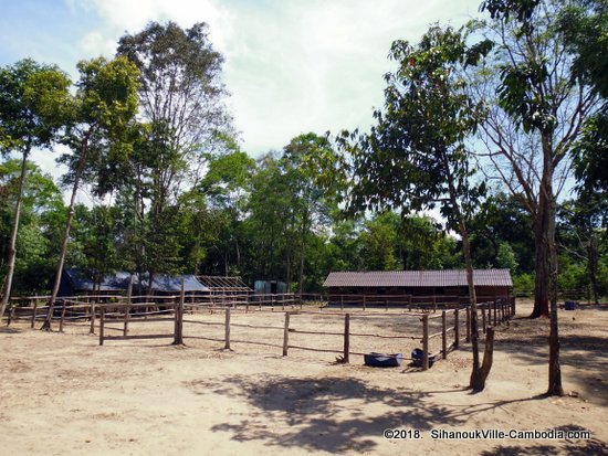 Liberty Ranch Horse Riding in SihanoukVille, Cambodia.