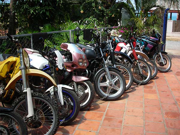 ola's big bike collection